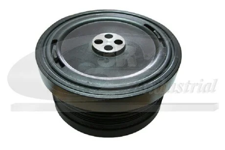 Шкив коленвала BMW 3/5 - X5 2.5d / 3.0d 98- 3RG 10103