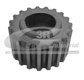 Шестерня коленвала Renault Clio, Kangoo, Laguna, Megane 95-11 / Lada Largus 12-18 3RG 13625