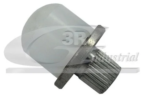 Болт вилки сцепления Renault Megane / Scenic I (JA0 / 1) -03 (motor F9Q) 3RG 22603