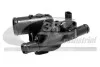 Термостат Nissan Qashqai / X-Trail / Renault Laguna / Espace / Koleos 2.0dCi 06- 81618