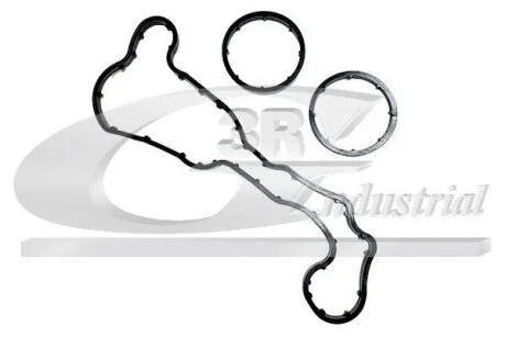 Прокладання теплообмінника AUDI A4 B8, A5, A6 C6 3.0D 06.07-03.12 3RG 85787 (фото 1)