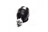 Опора шаровая TOYOTA Fortuner KUN51,TGN51 05-,Hilux KUN1, KUN2 04-,TGN4 04-,нижняя передняя 555 SB3882 (фото 2)