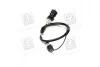 Трос педали сцепления FIAT Scudo 2.1 TDS mod. 97-/ Evasion 2.1 Tds mod.96- / Zeta 2.0 ie TB - 2.0 Tds - 2.0 1 ADRIAUTO 1101161 (фото 2)