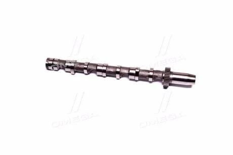 Розподільчий вал VAG 2,5TDI BAU / BCZ / BDG / BND / BDH 4-6 IN (пр-во) AE CAM935