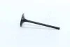 Клапан двигуна IN FORD/MAZDA MONDEO/5 SEBA/CJBA/CJBB/AODA/LF 35X5.5X103.4 (вир-во AE) V98032