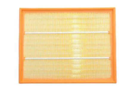 Фільтр повітряний VW T4 92-03 (пр-во) ALPHA FILTER AF1605