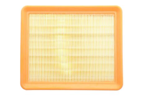 ЕФ повітряний ALPHA FILTER AF1631 (фото 1)