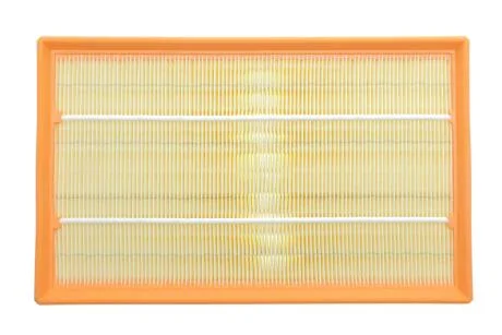 Фильтр воздушный VW T5 03- (пр-во) ALPHA FILTER AF1656