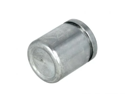 Поршенек суппорта CAMRY/RAV 4/AVENSIS (38-44,65мм) 91- SEINSA AUTOFREN D025266