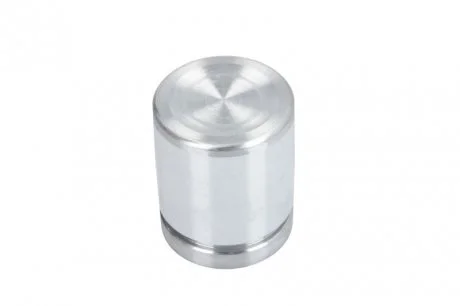 Поршенек суппорта зад C-MAX/FOCUS/ACCORD (38-45,97мм) 03-12 SEINSA AUTOFREN D025332