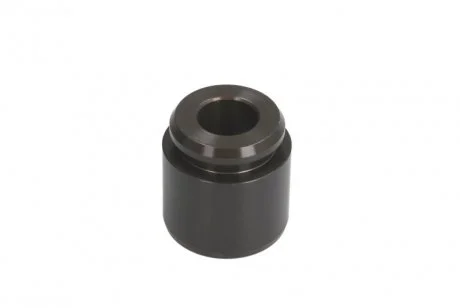 Комплект поршнів супорта AUTOFREN D025366