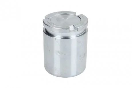 Поршенек суппорта зад Audi A4/A5/A6/A7/A8/Q5 42,8x52,1 SEINSA AUTOFREN D025543