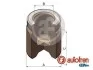 Поршень тормозного суппорта AUTOFREN D025592 (фото 1)