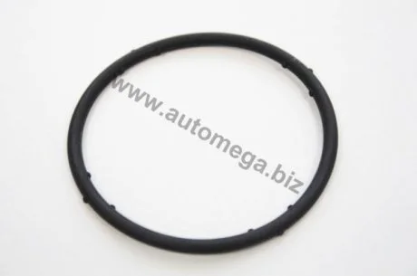 Ущільнююче кільце VW AUTOMEGA / Dello 190013920