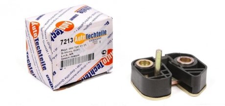 Собачка замка AUTOTECHTEILE 100 7213