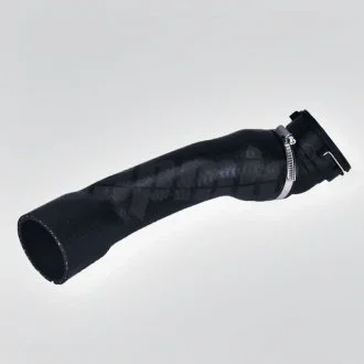 Повітряний шланг Bapmic BF0422700309