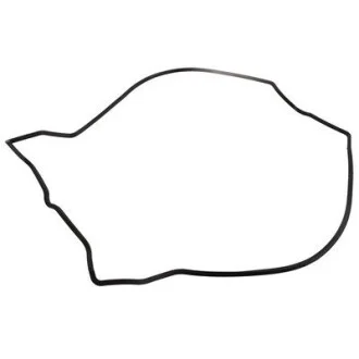 Прокладка кришки ГБЦ Bapmic BF0425420032