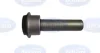 Сайлентблок передньої балки Nissan Qashqai 07- BG0409