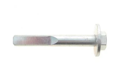 Болт з ексцентриком BELGUM PARTS BG2017