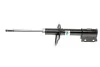 Амортизатор Bilstein Dacia Logan B4 передняя сторона BILSTEIN 22122469 (фото 1)