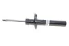 Амортизатор Bilstein VW PASSAT 3C; B4 передняя сторона BILSTEIN 22151056 (фото 1)