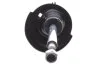 Амортизатор BILSTEIN 22-183828 (фото 4)