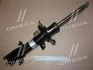 Амортизатор Bilstein FORD Transit передняя правая сторона 12 - (Gas) BILSTEIN 22245762 (фото 1)