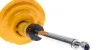 Амортизатор Bilstein Renault Scenic B6 VA BILSTEIN 22247568 (фото 5)