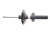 Амортизатор Bilstein Renault Scenic IV VA; B4 BILSTEIN 22277275 (фото 5)