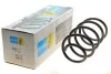 Пружина BMW X1 (E84) передняя сторона 09 - BILSTEIN 37251499 (фото 1)