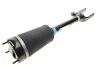 Превмостійка передня Bilstein MB M-CLASS (W164) BILSTEIN 44165062 (фото 1)