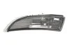 Повторювач повороту в дзеркалі Лів (димчаст, WY5W) FORD B-MAX, FIESTA VI 06.08-09.17 540301730863