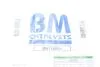 Сажевий фільтр BM CATALYSTS BM11005H (фото 4)