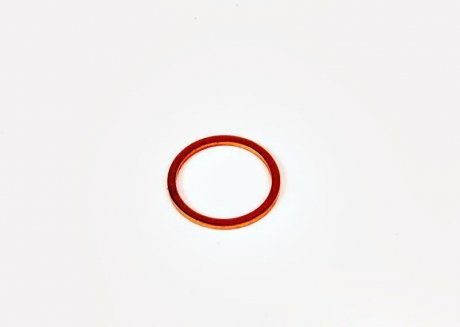 Уплотнительное кольцо, шт BMW 07119963308 (фото 1)