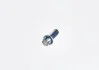 Болт Torx M6X16 BMW 07129902813 (фото 1)