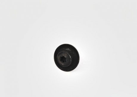 ГвинтxM6x20 BMW 07147406384 (фото 1)