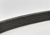 Пасок поликлиновый 6РКХ1003 BMW 11287618848 (фото 2)