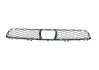 GITTER LUFTEINLASS MITTE BMW 51118064931 (фото 1)