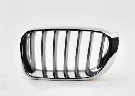 Решітка Пд L F25 BMW 51137367421