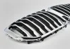 Решітка декоративна передня BMW 51137454887 (фото 2)