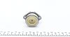 Фильтр масляный BorgWarner DS2003085 (фото 5)