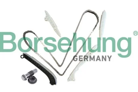 Комплект ланцюга ГРМ Borsehung B10238