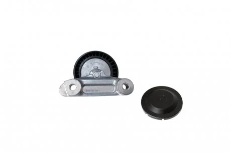 Демпфер натяжителя ремня с защитным колпаком. (INA) Borsehung B12202