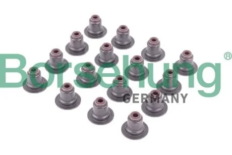 Сальник клапану; 16 pieces Borsehung B12506