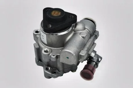 Помпа гидроусилителя руля (ZF) Borsehung B13209
