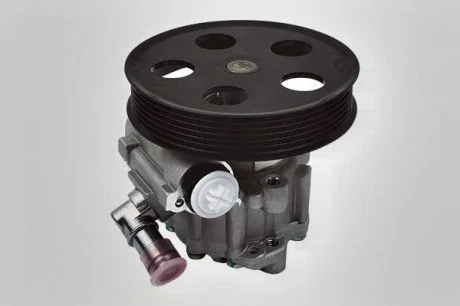 Насос гидроусилителя руля (ZF) Borsehung B13214