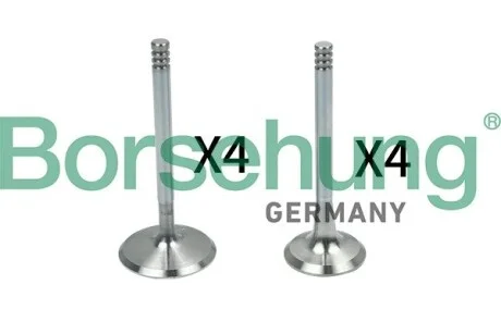 Клапан ГРМ Borsehung B18148