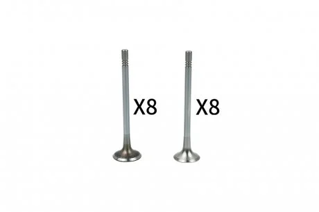 Клапан впускной (к-кт 8*8) Borsehung B18628