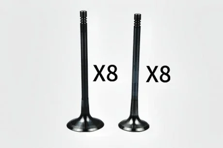 Клапан впускний (комплект 8 * 8) 06D109601K + 06D109611L Borsehung B18634