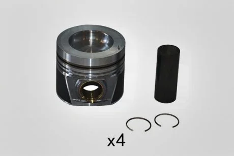 Поршень к-кт (4шт) OE Borsehung B19302